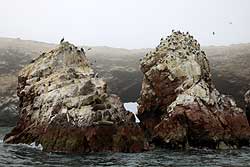 バジェスタス島