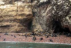 バジェスタス島