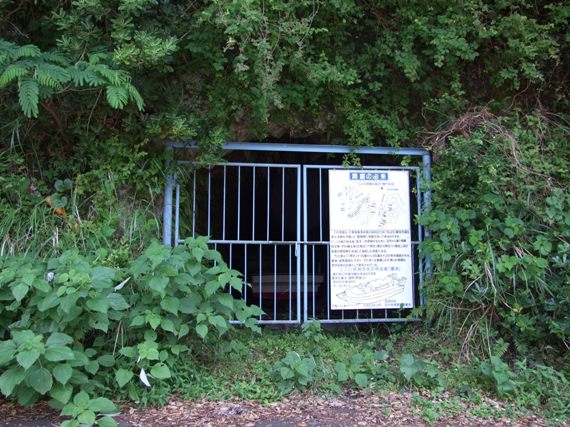 田子の特攻基地
