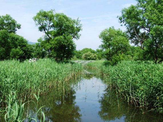 浮島ヶ原自然公園