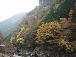 PB040080.JPG