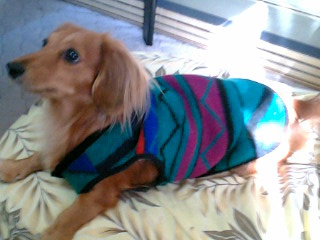  あったかグリーンフリース