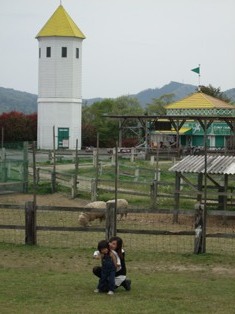 コピー ～ DSCF0950.jpg