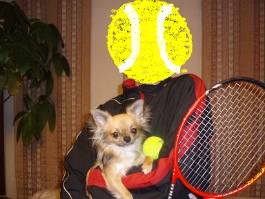 tennis4.JPG