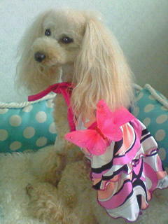 !cid_01@080707.224223@_____D903i@docomo.ne[1]