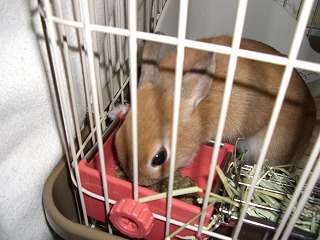 CIMG0745.jpg