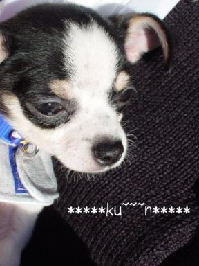 ク～～ン***注射こわいよ～～。。。