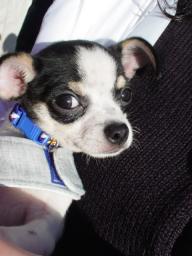 ちゃんと注射したよ***えらいでしょ？