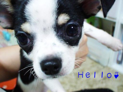 ボクとあそんで～♪