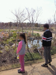 花はまだ咲いてないね