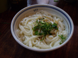 08-01-29_2.JPG