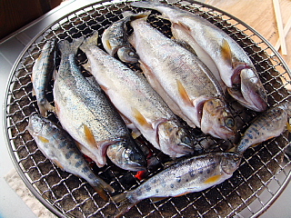 魚を焼く