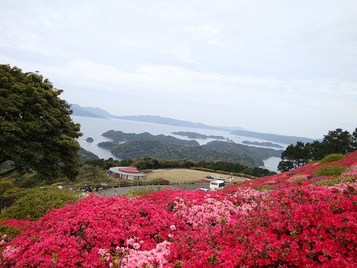 長串山のツツジ・九十九島