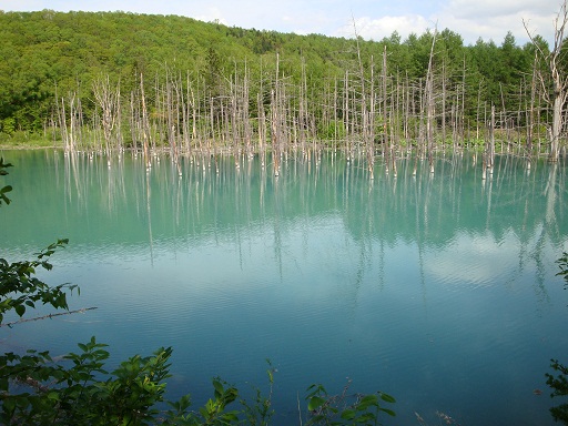 青い池