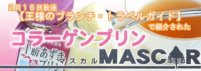 コラーゲンプリン