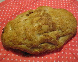 IMG_3790.JPG