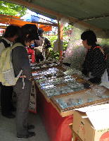 IMG_5374.JPG