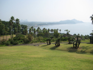 IMG_6712-1.JPG