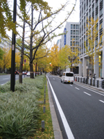 IMG_7437-1.JPG