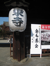 IMG_7120-1.JPG