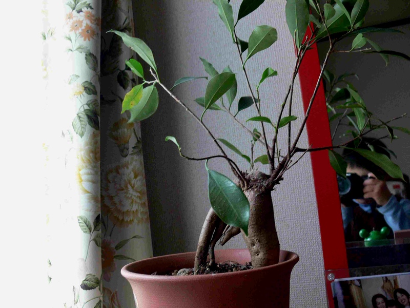 ボクのたからもの8