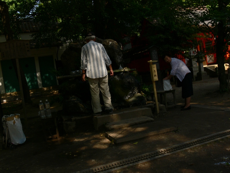 あじさい・ひと・5