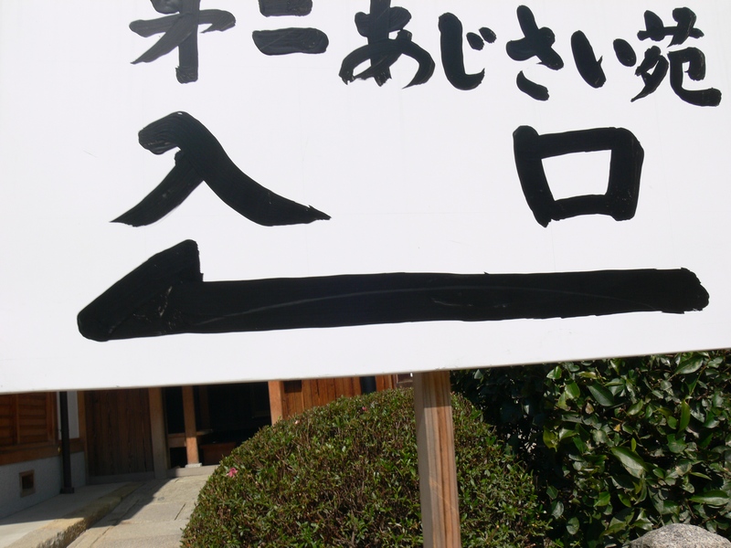 あじさい祭り・字・7