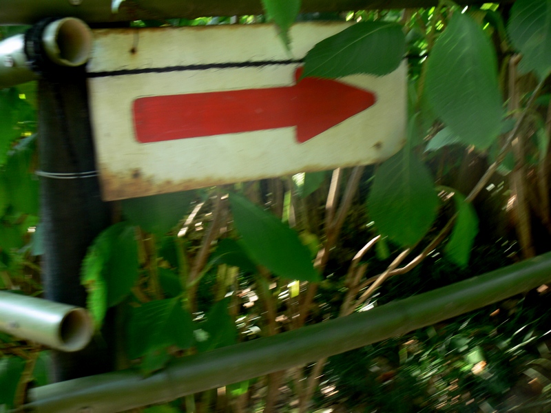 あじさい祭り・字・8