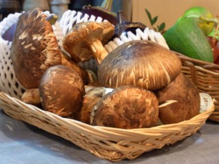 長野産松茸