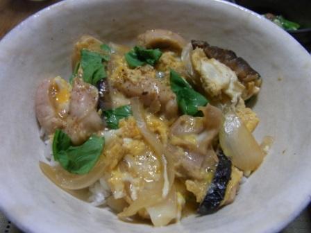 2010-09-28親子丼