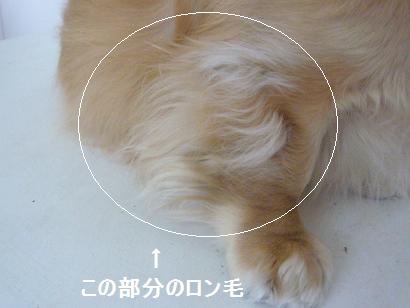 ３.JPG