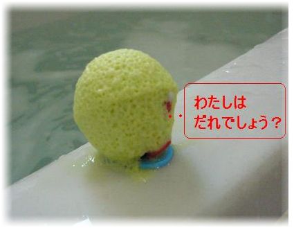 img35412.jpg