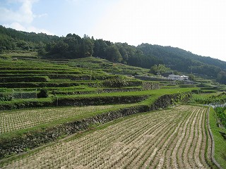 佐用町 兵庫県 まち歩き 乙大木谷 棚田その２ 観光アナリストのまち歩きフォト日記 楽天ブログ