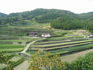 佐用町 兵庫県 まち歩き 乙大木谷の棚田 観光アナリストのまち歩きフォト日記 楽天ブログ