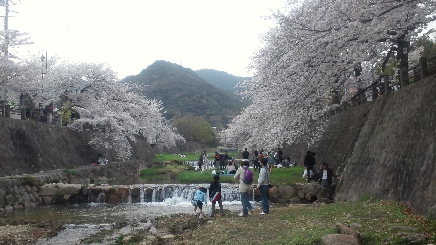 開森橋