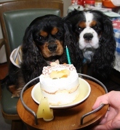 IMG_6256 (300x200).jpg