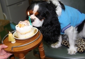 IMG_6262 (300x200).jpg