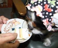 IMG_6265 (300x200).jpg