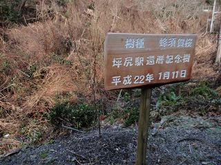 kanreki.jpg
