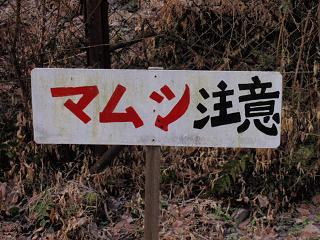 mamushichuui.jpg