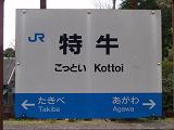 kottoi2.JPG