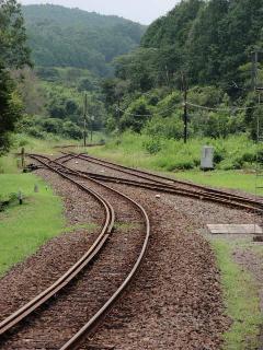 okoba_switchback1.jpg