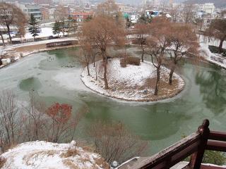 pond.jpg