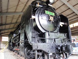 d51.jpg