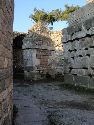 PC263031.jpg