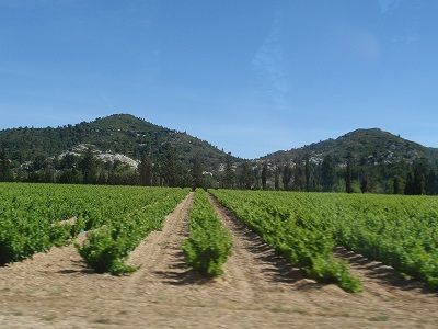 P5297355.jpg