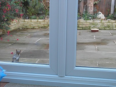 PA280559.jpg