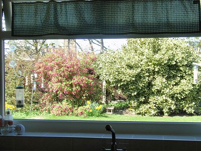 20100421_607.jpg