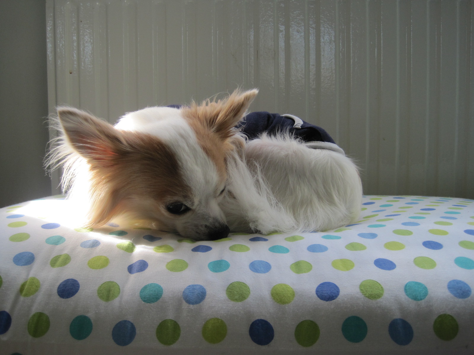 Copy of Picture 166.jpg