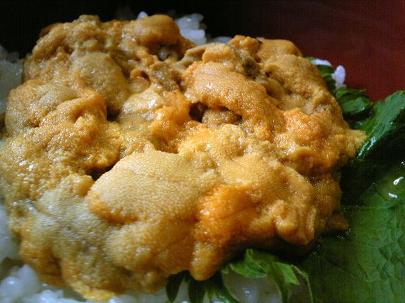 110424うに丼3